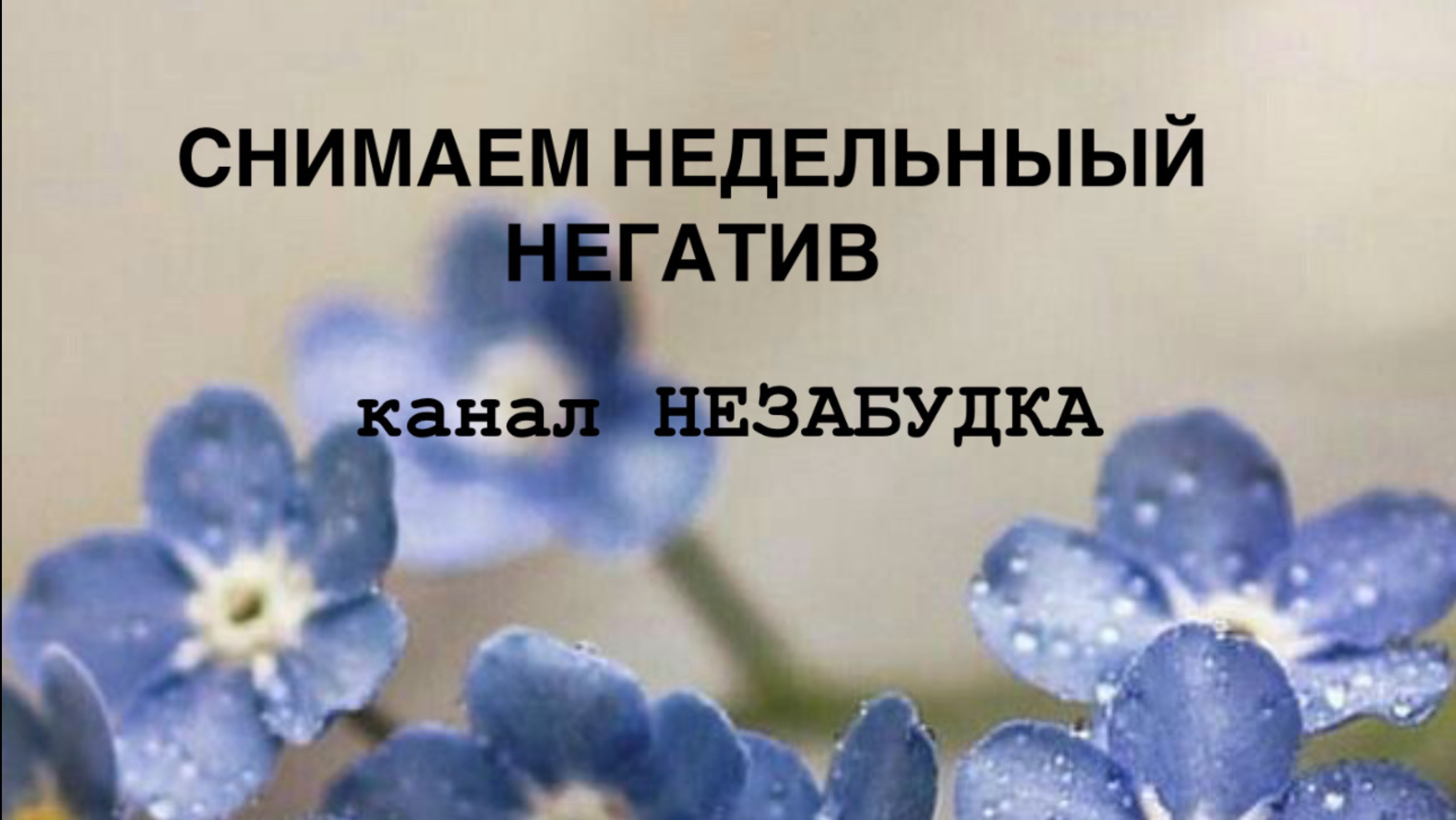 СНИМАЕМ НЕДЕЛЬНЫЙ НЕГАТИВ 🤲🏼