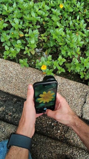 Shooting the Macro World with iPhone 15 Pro Max & Sandmarc 100mm Macro Lens 📸