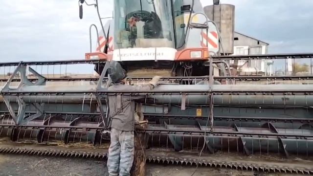 УБОРКА УРОЖАЯ 2024 / ПШЕНИЦА