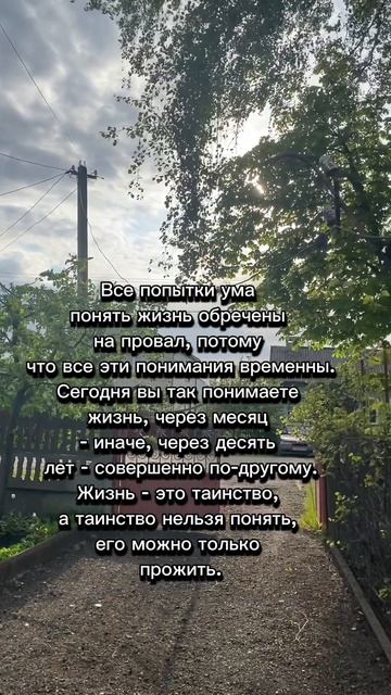 Жизнь❤️