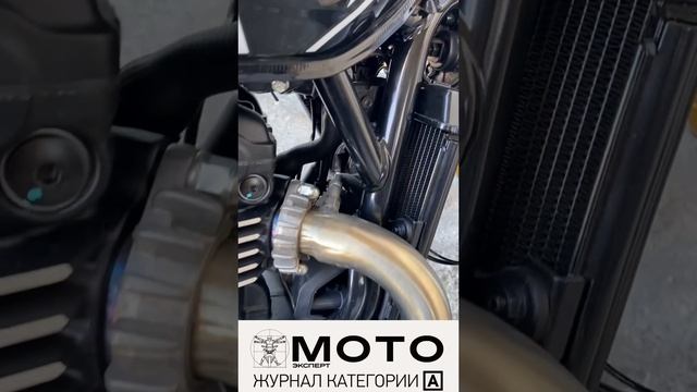 Федотов о Triumph Speed 400 New