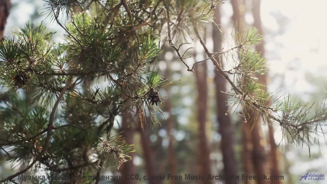 Мелодия превращает поля в магические пространства - Sunday -- SUPERARE -- IX