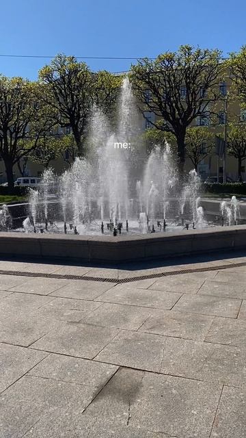 Привет из солнечного Питера!💝🌈💫🌸