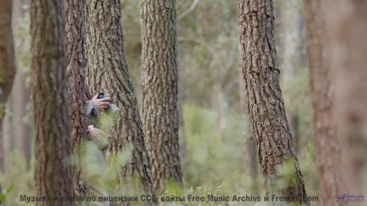 Эта песня оживит даже самые серые будни - Entrepreneurs -- Scott Holmes Music -- Music for TV + Film