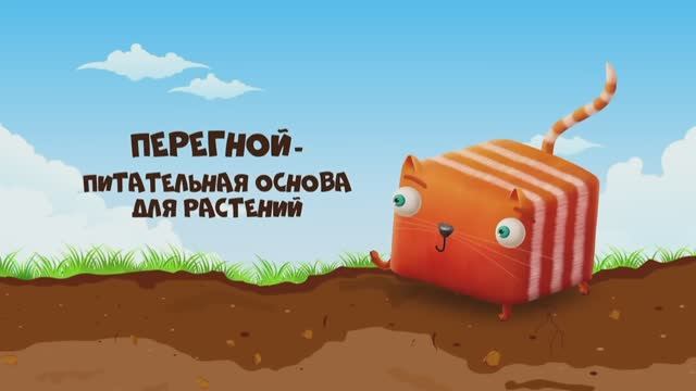 Почва