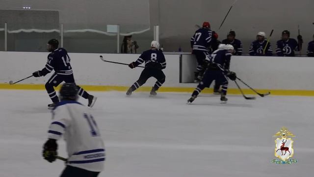 В Нижегородской области состоялось торжественное открытие турнира МВД России по хоккею с шайбой