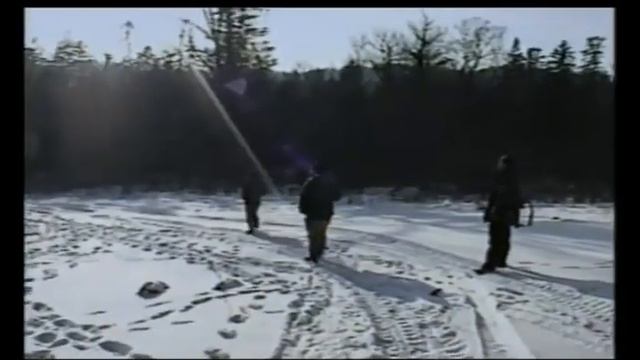 Пожарский тигр людоед