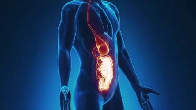 Что же такое Fitline и как он работает и почему он нужен именно тебе?