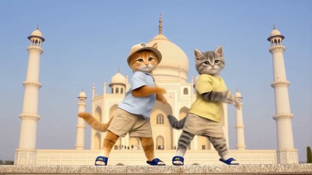 🐾Niseko Cat Goes to India! MAHARAJA CAT Debut—Friend or Foe_ Watch Now!