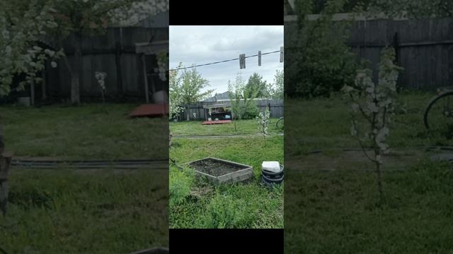 Работа с утра.Деревнская жизнь