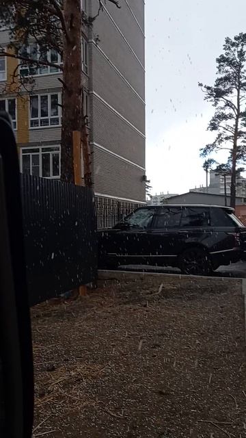 Чита!