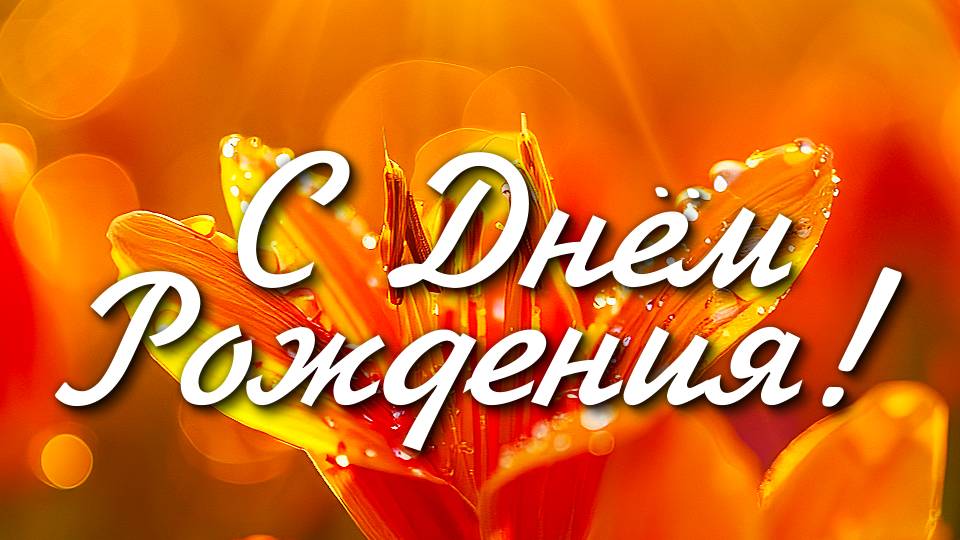 Поздравление С Днём Рождения! Новинка! Шикарное Поздравление Женщине С Днём Рождения