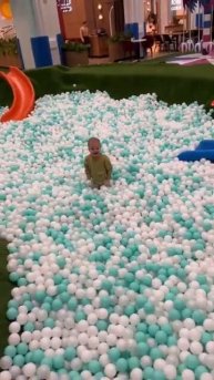 Павлов Family (1040)