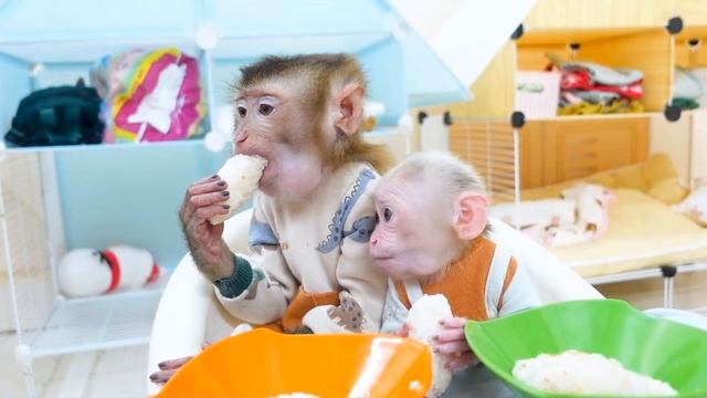 Обезьянка крошка БУКАШКА кричит зовет кушать Ест в две руки Вторая прибежала Едят чмокают Вкусно
