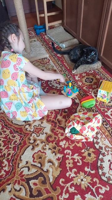 Котейкина собирает головоломку)