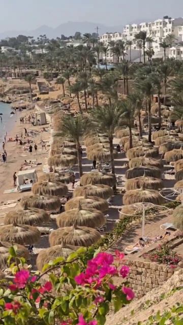 красное море, пляж, понтон Continental Plaza Beach Resort & Aqua Park 4* Шарм-эль-Шейх Египет