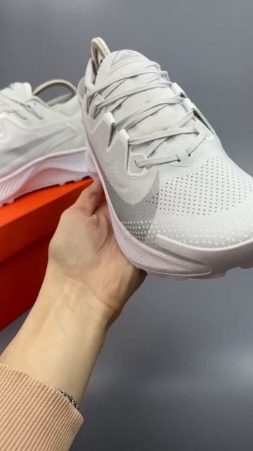 Кроссовки Nike Pegasus