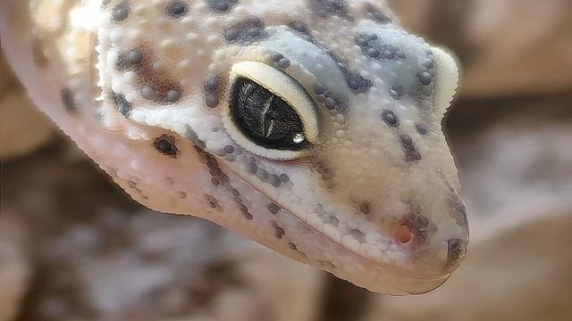 InShot_20250520_163527649.mp4