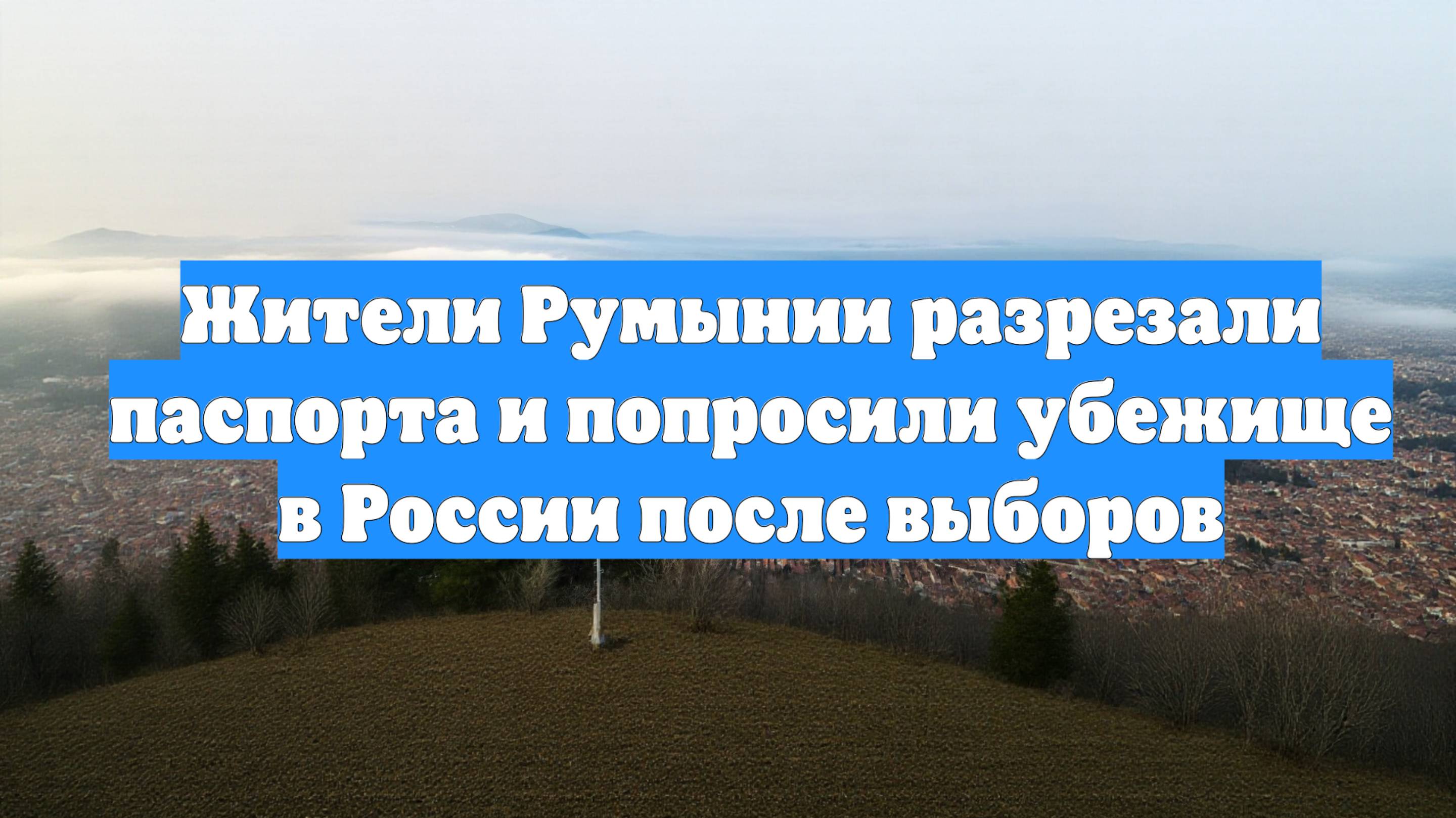 Жители Румынии разрезали паспорта и попросили убежище в России после выборов