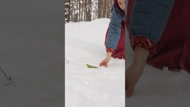 Лесная фея