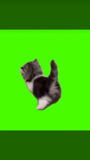 1000009864.mp4