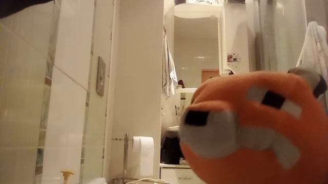 1000004622.mp4