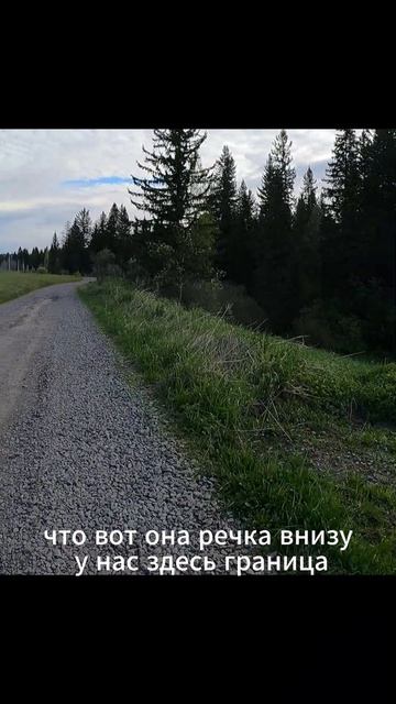 Пустельга  атакует.