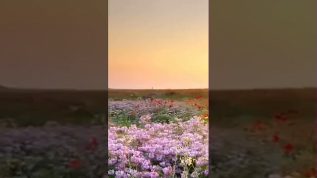 Муж бросил Веру с дочкой и оставил без копейки. А спустя 3 года, решив посмеяться…