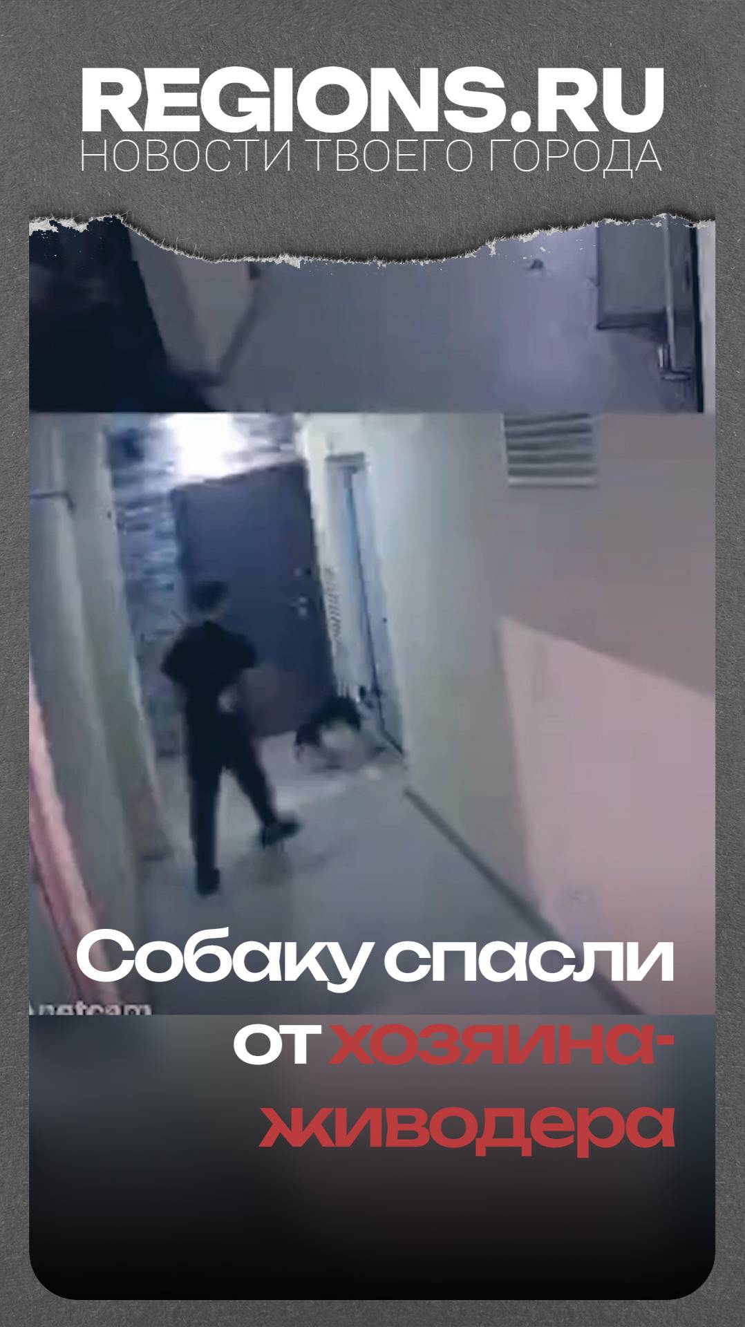 Собаку спасли от хозяина-живодера