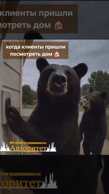 недвижимость #юмор #ленинсккузнецкий
