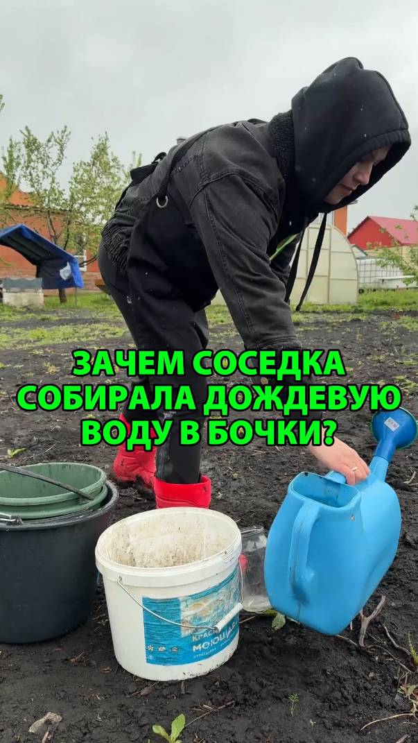 Зачем соседка собирала дождевую воду в бочки