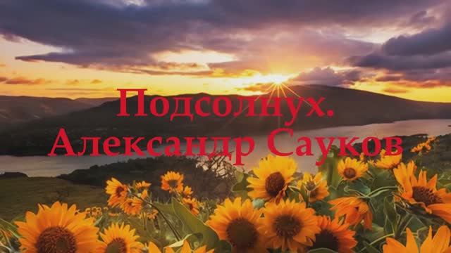 Подсолнух (Премьера клипов)