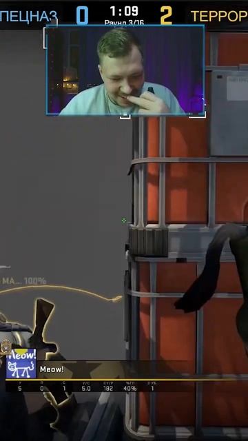 СКОЛЬКО ГРАНАТ НАСЧИТАЛИ? #csgo