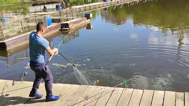 Вечер,поимка Носатого