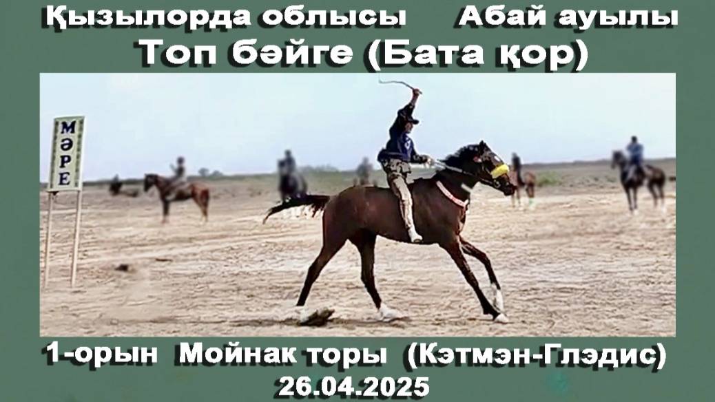 🐎 26.04.25 Топ бәйге с. Абай, Кызылординская обл., Казахстан 🥇 1-место Мойнақ торы (Кэтмэн-Глэдис)