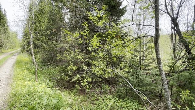 Таштагол, улица Дальняя Каменушка-1