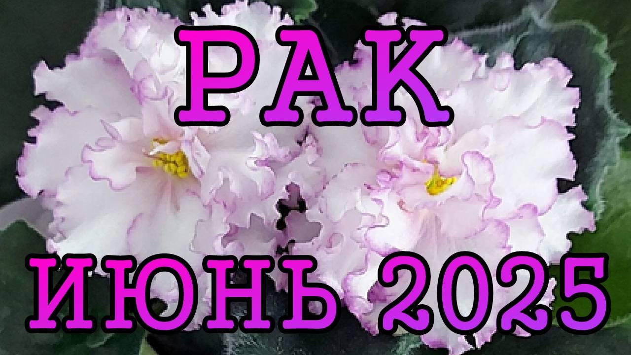 РАК таро прогноз на ИЮНЬ 2025 года.