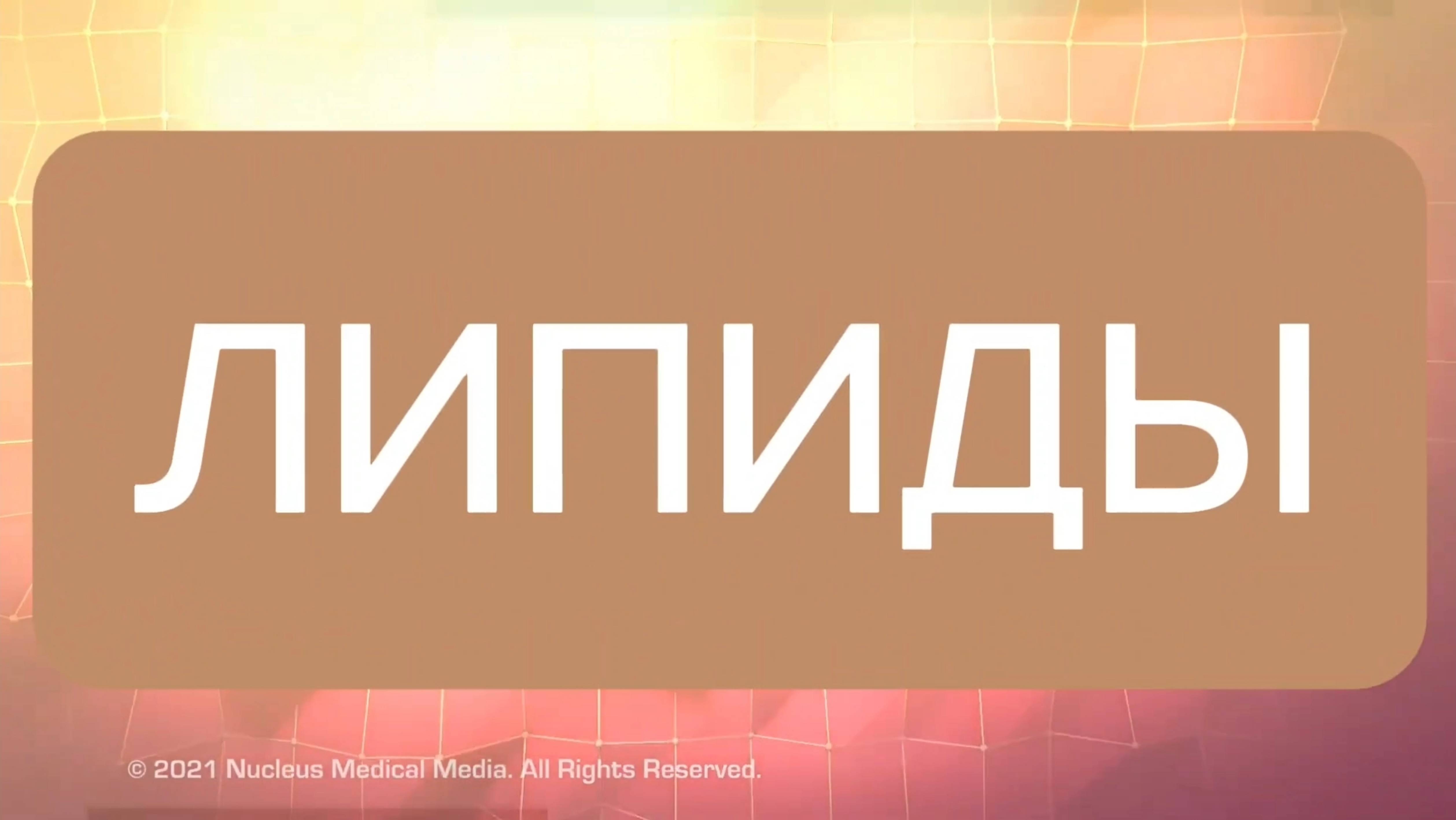 Липиды