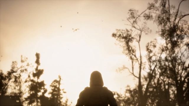Клип -  S.T.A.L.K.E.R. 2
