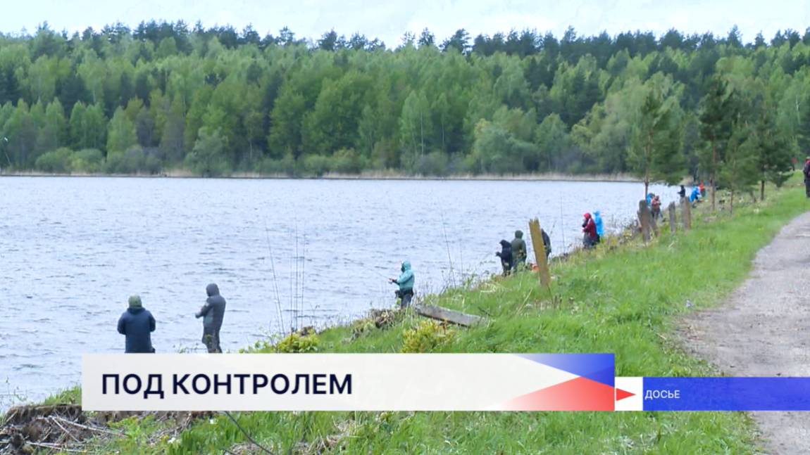 Появилась угроза для нереста из-за браконьерства в Нижегородской области