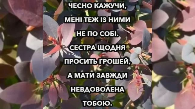 Роза та Ваня переїхали до своєї квартири: тепер у свек?