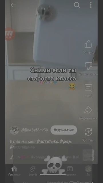 :●