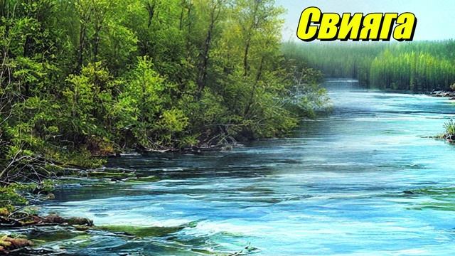 Свияга