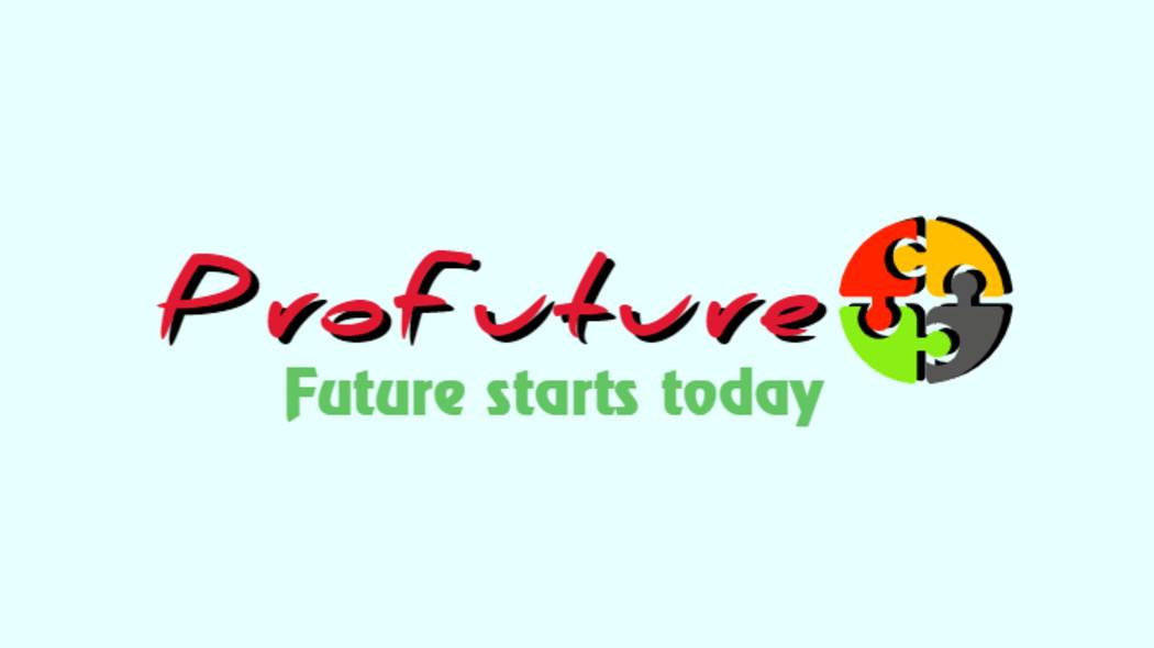 Урок английского языка  "ProFuture"