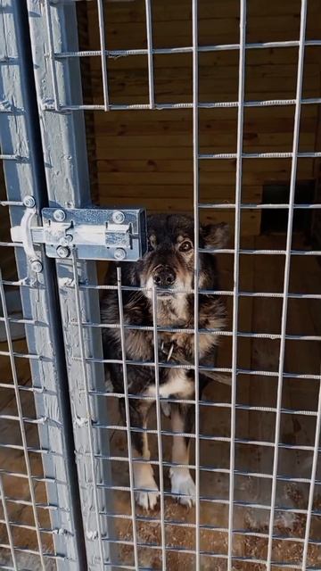 Джине не повезло родиться ОБЫЧНОЙ