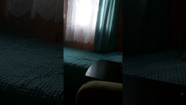 Новые шторы