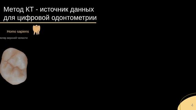 Компьютерная томография в палеоантропологии
