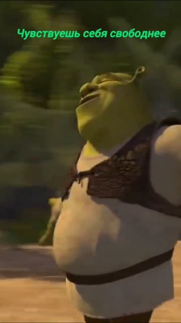 scene_output.mp4