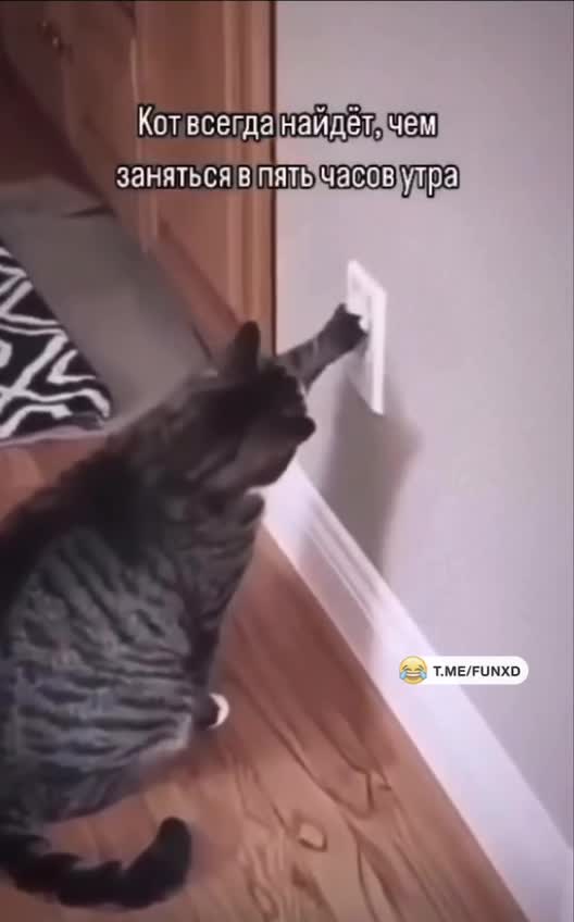 Доброе утро!😅