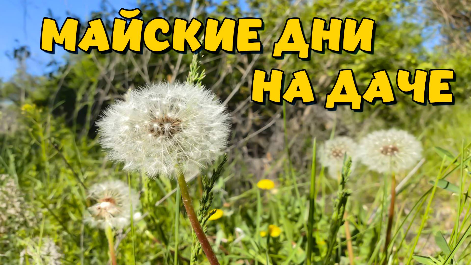 НА ДАЧЕ У ДРУЗЕЙ